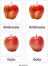 Load image into Gallery viewer, Apple Theme Montessori 3 Part Cards
