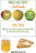 Load image into Gallery viewer, Apple Theme Montessori 3 Part Cards
