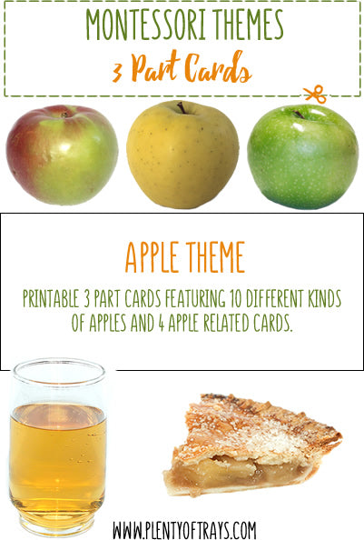 Apple Theme Montessori 3 Part Cards