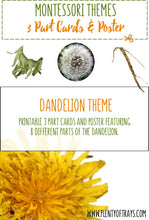 Load image into Gallery viewer, Dandelion - 3 part cards and poster
