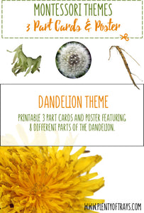 Dandelion - 3 part cards and poster