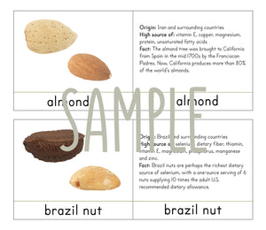 Nuts Theme Study Unit